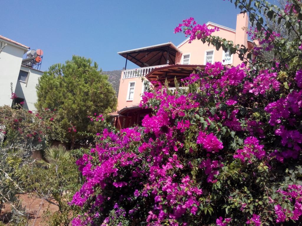 Villa Koknar Pension Каш Номер фото